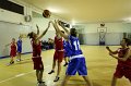 Basket 443077